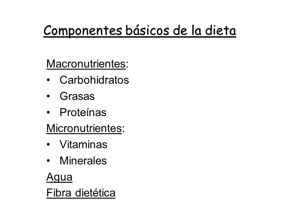 Componentes básicos de la dieta