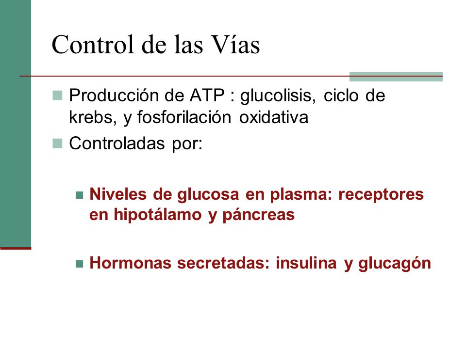 Control de las Vías Producción de ATP : glucolisis, ciclo de krebs, y fosforilación oxidativa. Controladas por: