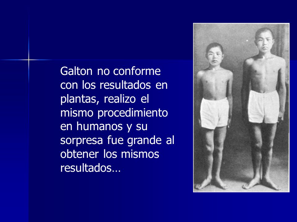 Galton no conforme con los resultados en plantas, realizo el mismo procedimiento en humanos y su sorpresa fue grande al obtener los mismos resultados…