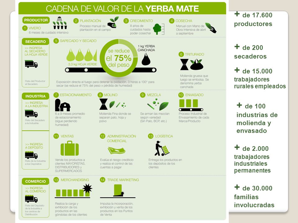 + de productores + de 200 secaderos. + de trabajadores rurales empleados. + de 100 industrias de molienda y envasado.