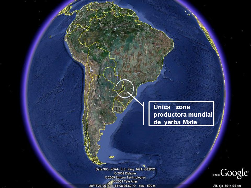 Única zona productora mundial de yerba Mate
