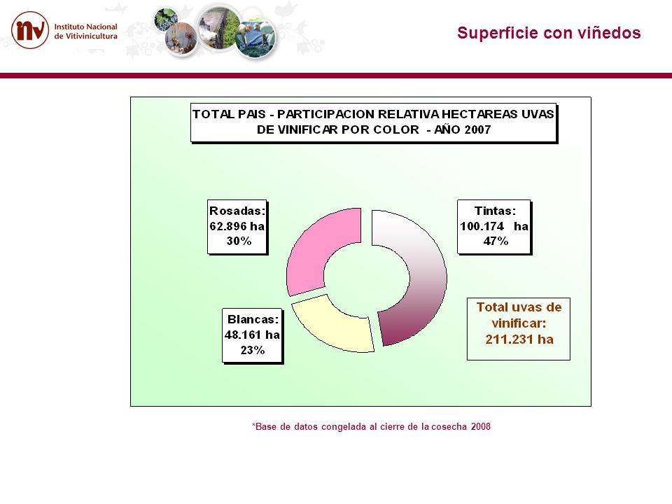 Superficie con viñedos
