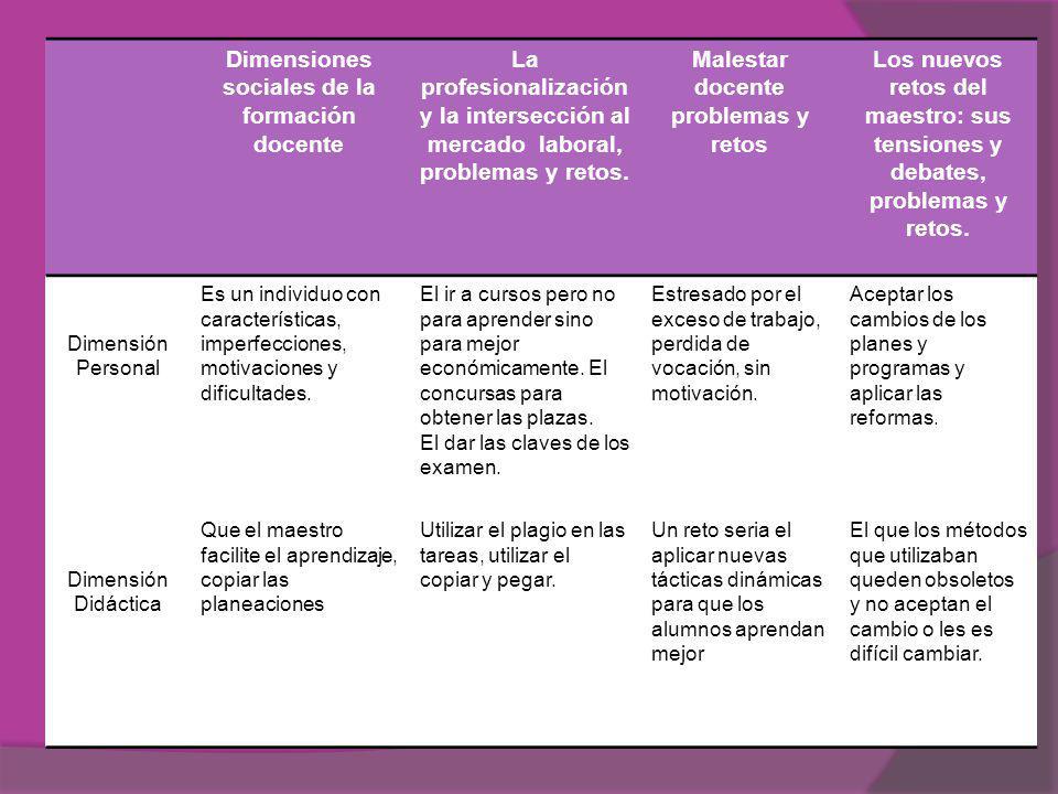 Dimensiones sociales de la formación docente