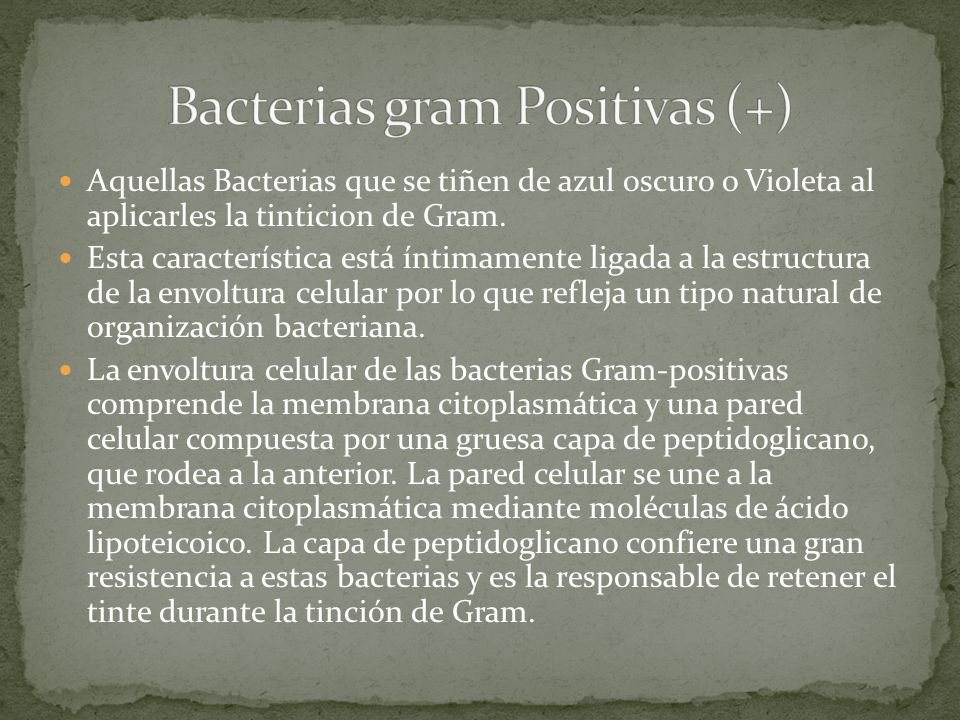 Bacterias gram Positivas (+)