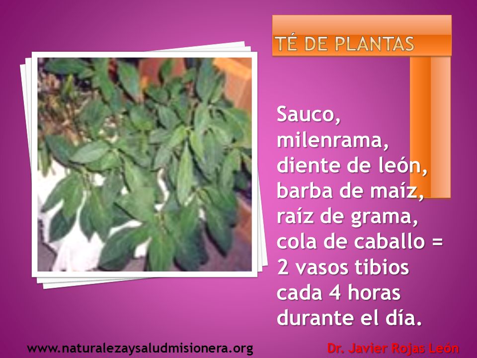 Té de plantas Sauco, milenrama, diente de león, barba de maíz, raíz de grama, cola de caballo = 2 vasos tibios cada 4 horas durante el día.