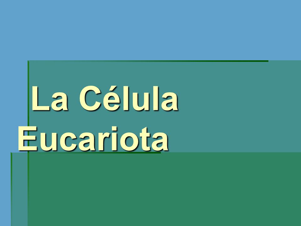 La Célula Eucariota