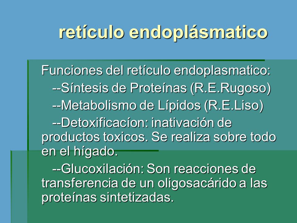 retículo endoplásmatico