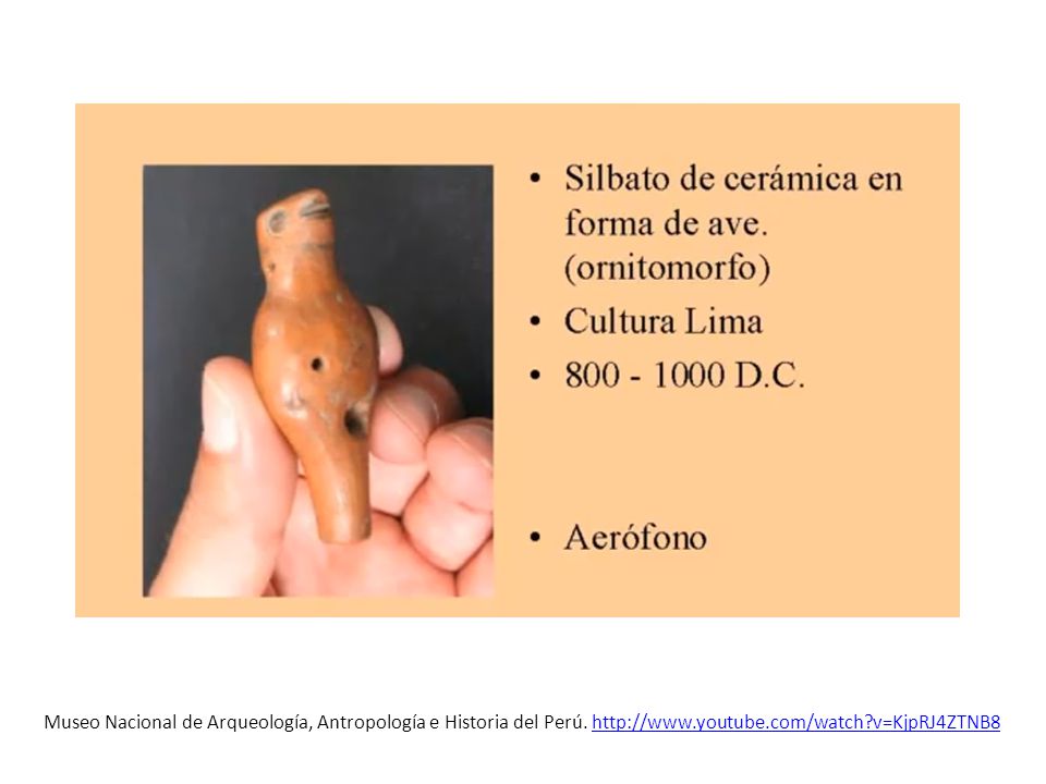 Museo Nacional de Arqueología, Antropología e Historia del Perú
