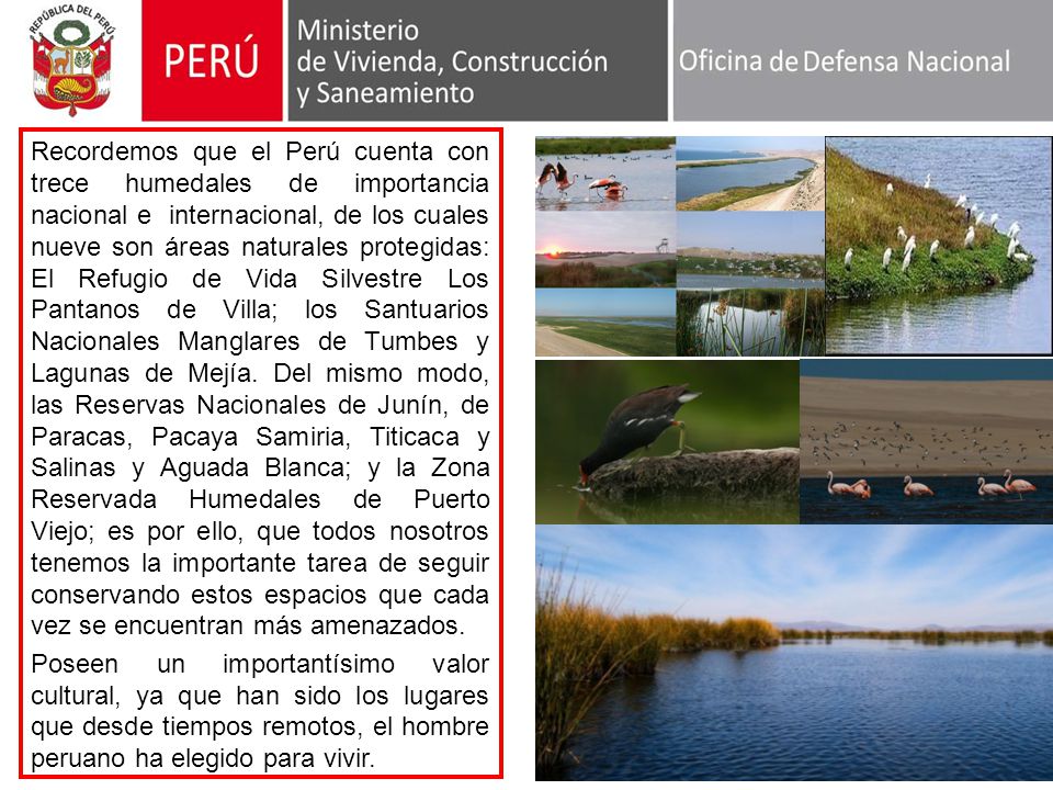 Recordemos que el Perú cuenta con trece humedales de importancia nacional e internacional, de los cuales nueve son áreas naturales protegidas: El Refugio de Vida Silvestre Los Pantanos de Villa; los Santuarios Nacionales Manglares de Tumbes y Lagunas de Mejía. Del mismo modo, las Reservas Nacionales de Junín, de Paracas, Pacaya Samiria, Titicaca y Salinas y Aguada Blanca; y la Zona Reservada Humedales de Puerto Viejo; es por ello, que todos nosotros tenemos la importante tarea de seguir conservando estos espacios que cada vez se encuentran más amenazados.