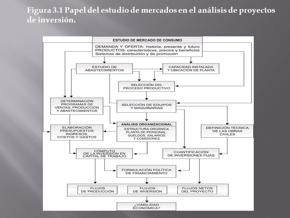 Figura 3.1 Papel del estudio de mercados en el análisis de proyectos de inversión.