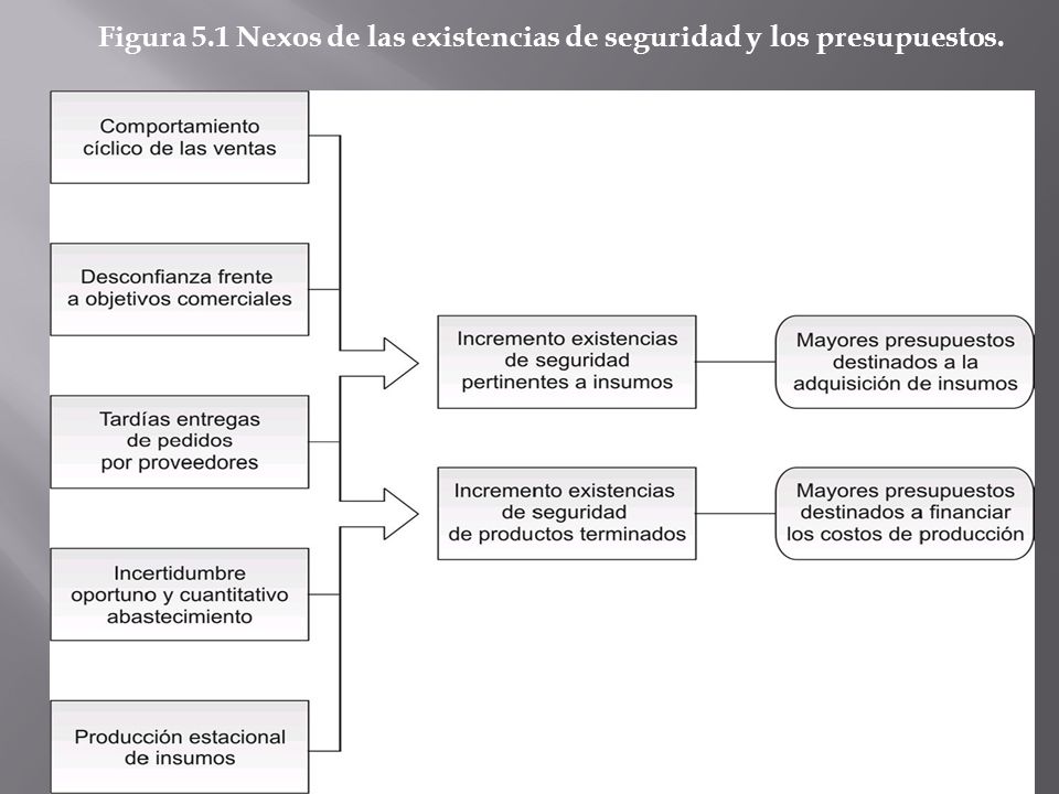 Figura 5.1 Nexos de las existencias de seguridad y los presupuestos.