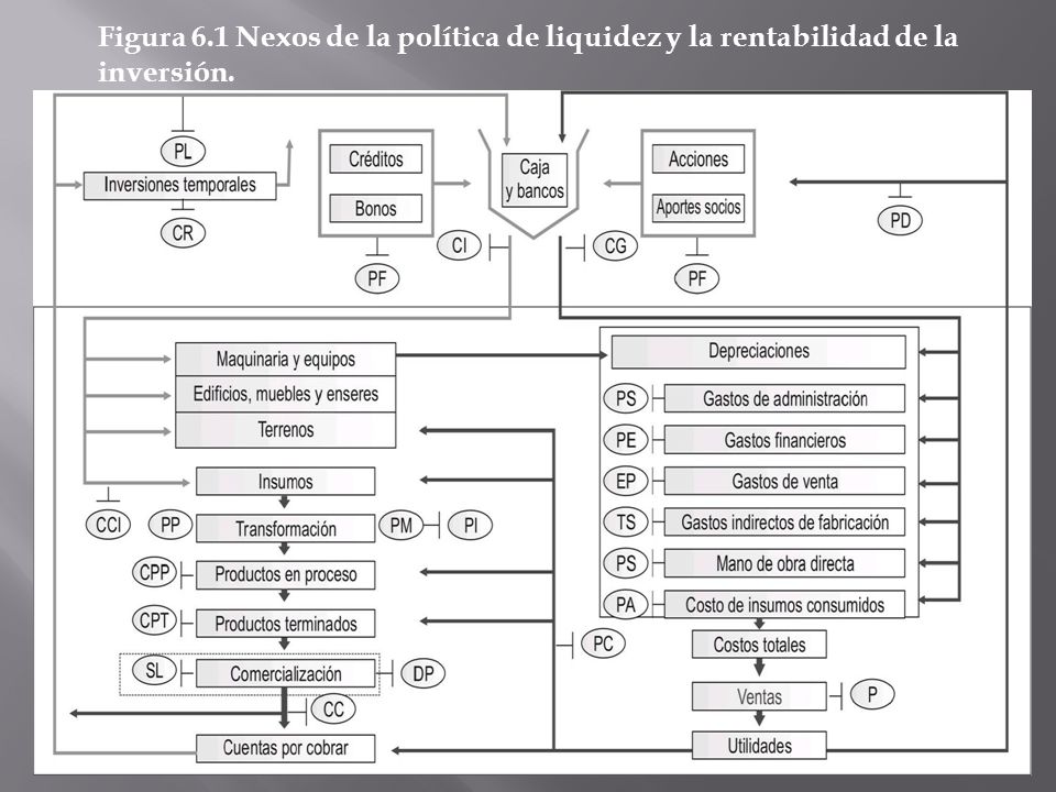 Figura 6.1 Nexos de la política de liquidez y la rentabilidad de la inversión.