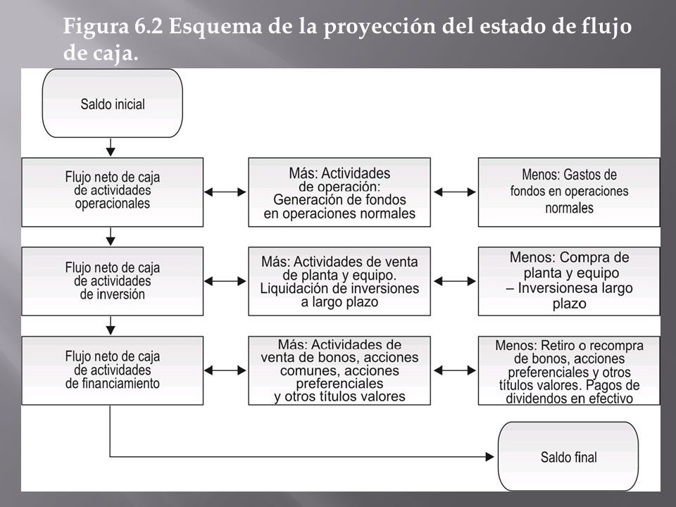 Figura 6.2 Esquema de la proyección del estado de flujo de caja.