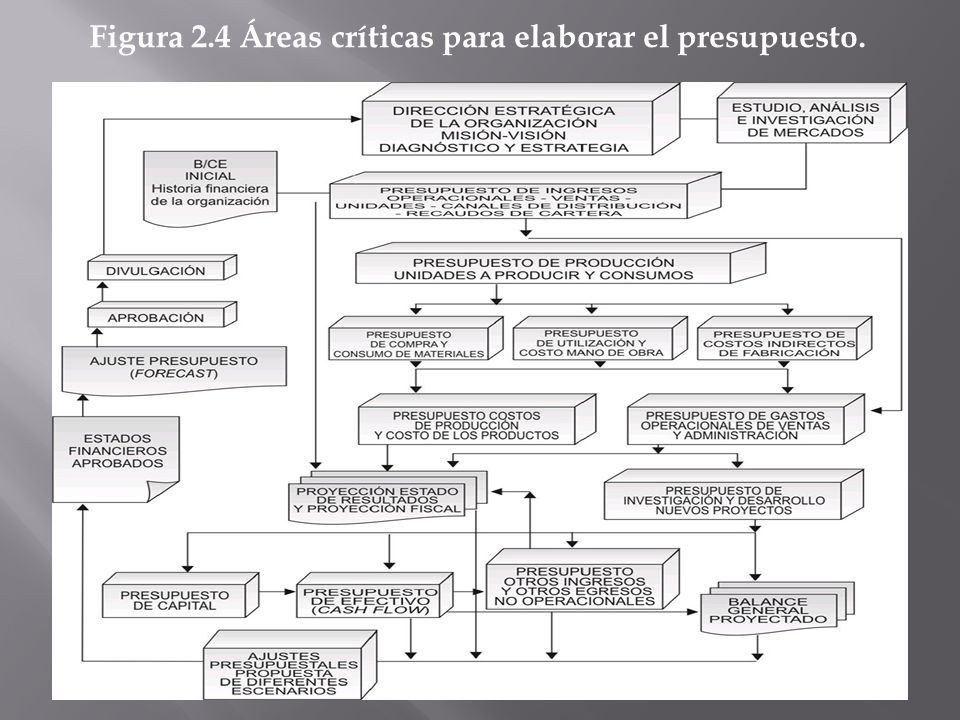 Figura 2.4 Áreas críticas para elaborar el presupuesto.