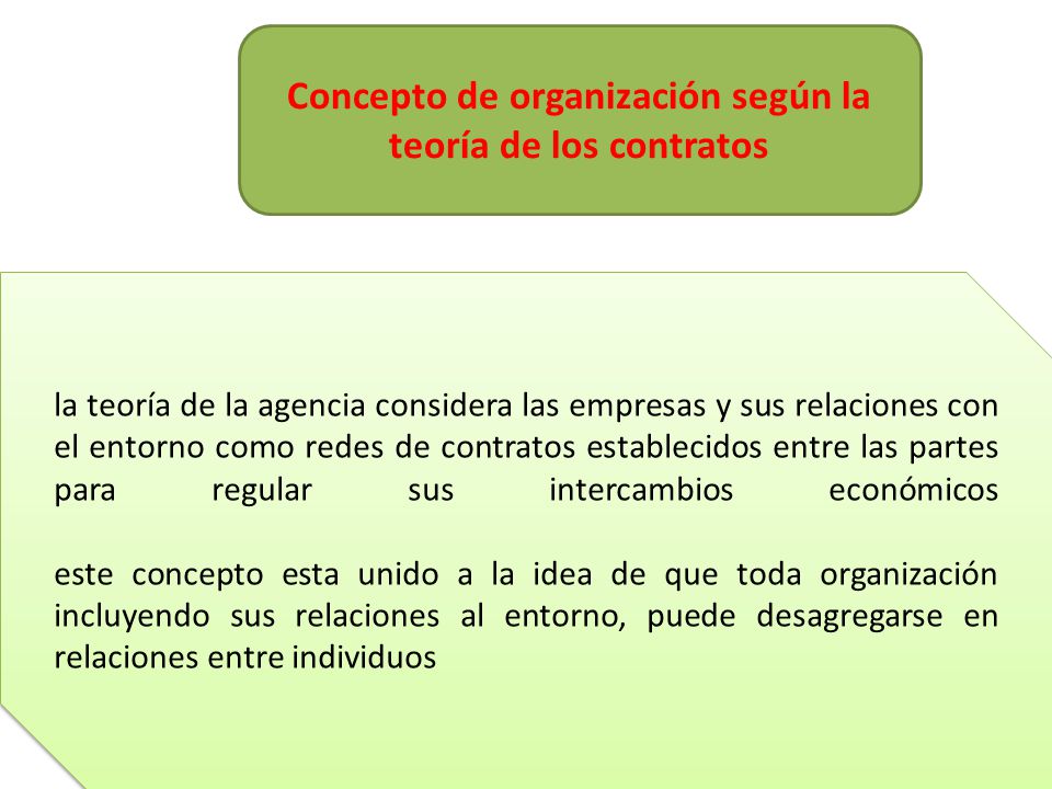 Concepto de organización según la teoría de los contratos