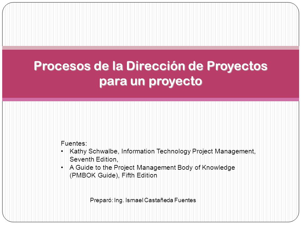 Procesos de la Dirección de Proyectos para un proyecto