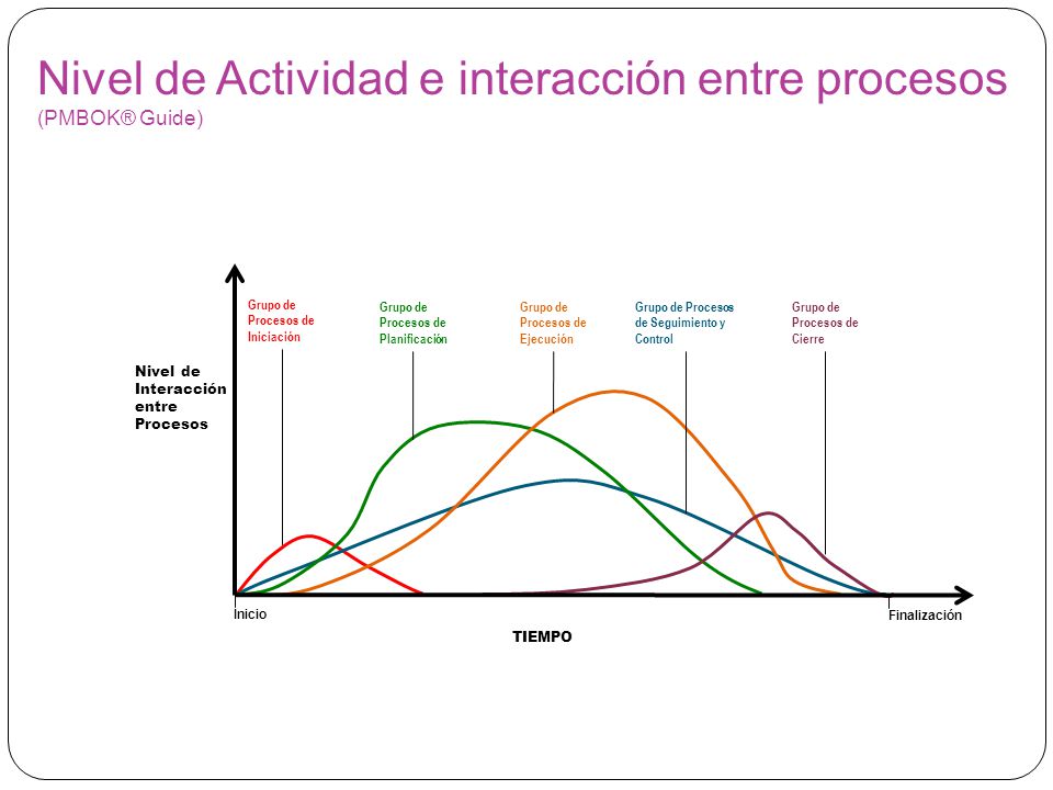 Nivel de Actividad e interacción entre procesos (PMBOK® Guide)