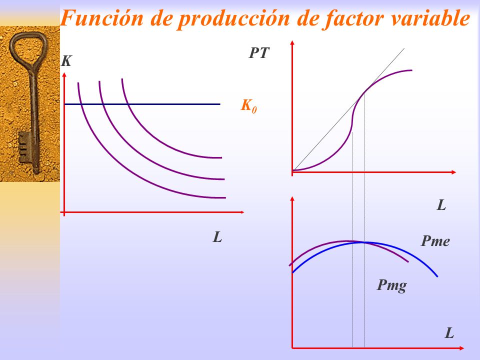 Función de producción de factor variable