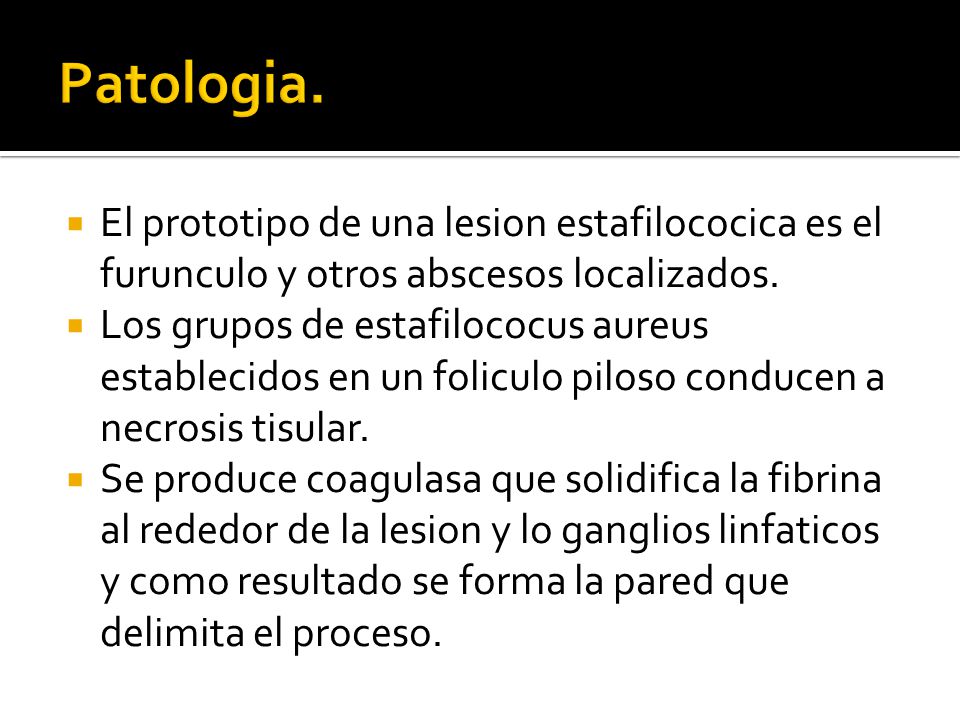 Patologia. El prototipo de una lesion estafilococica es el furunculo y otros abscesos localizados.