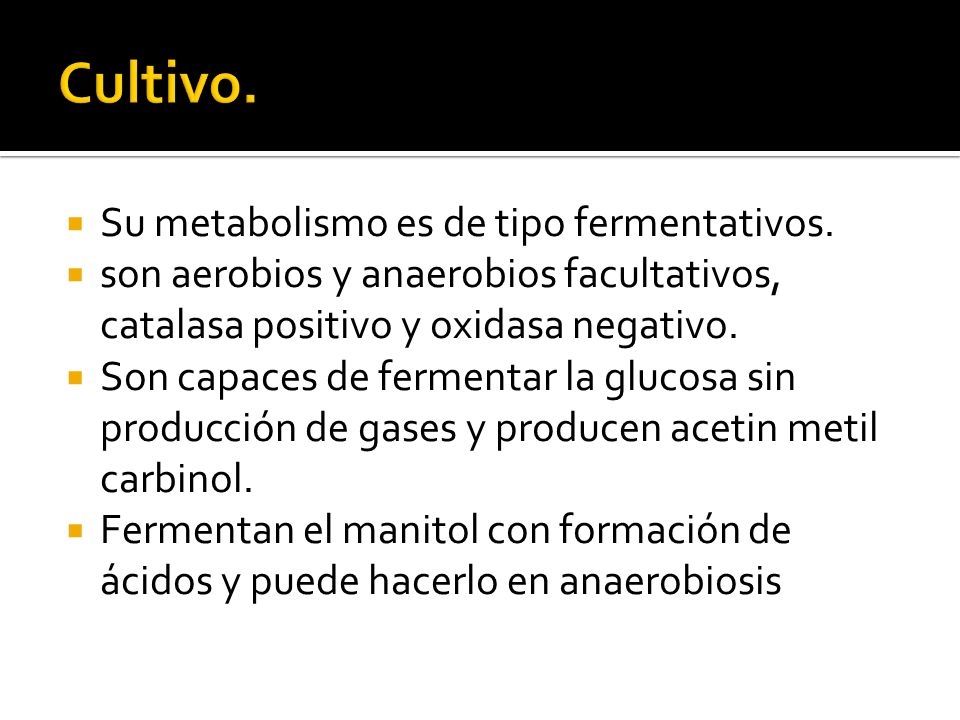 Cultivo. Su metabolismo es de tipo fermentativos.