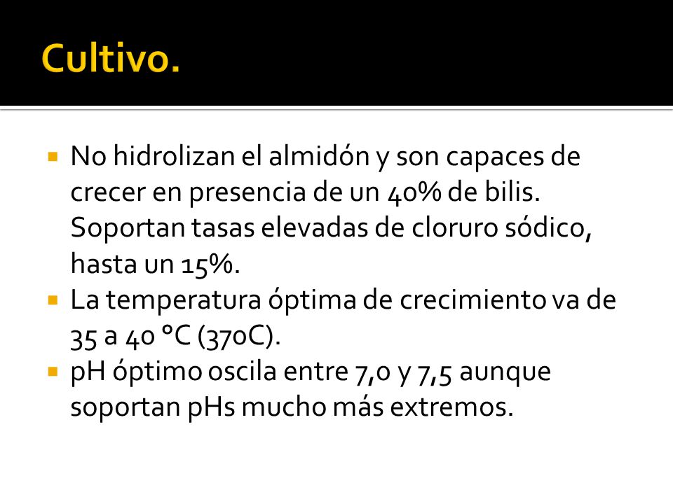 Cultivo. No hidrolizan el almidón y son capaces de crecer en presencia de un 40% de bilis. Soportan tasas elevadas de cloruro sódico, hasta un 15%.