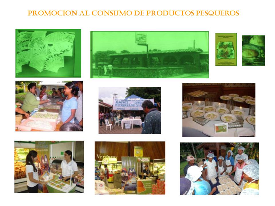 PROMOCION AL CONSUMO DE PRODUCTOS PESQUEROS