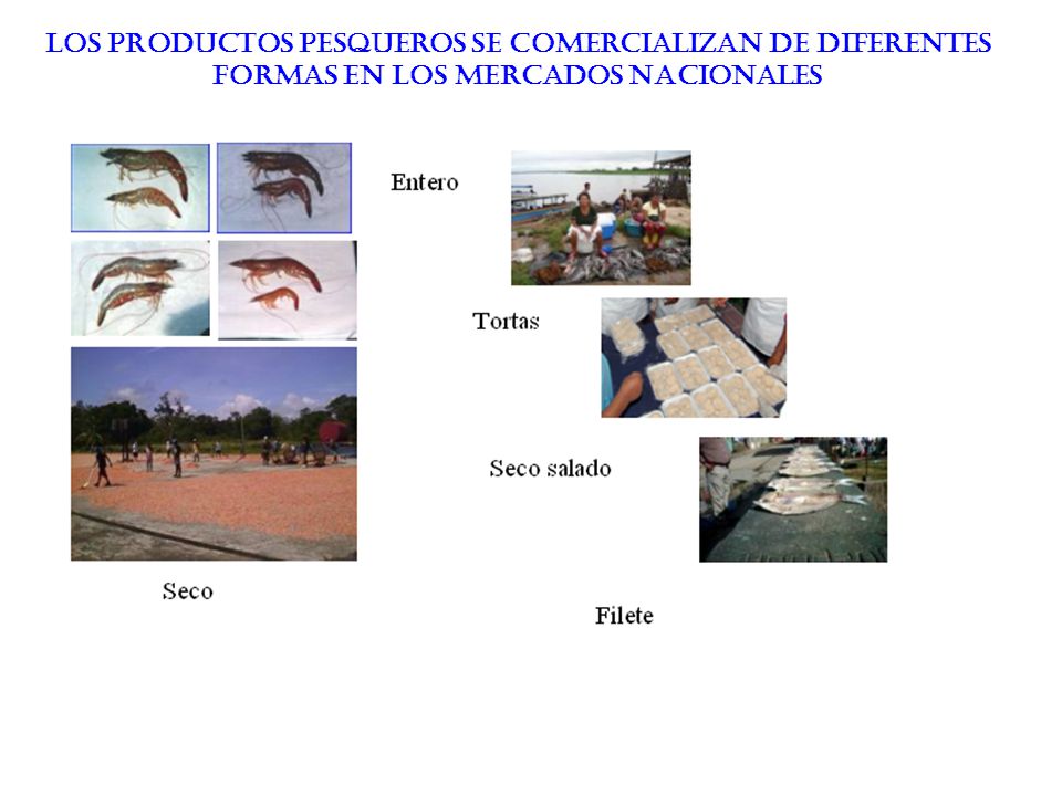 Los productos pesqueros se comercializan de diferentes