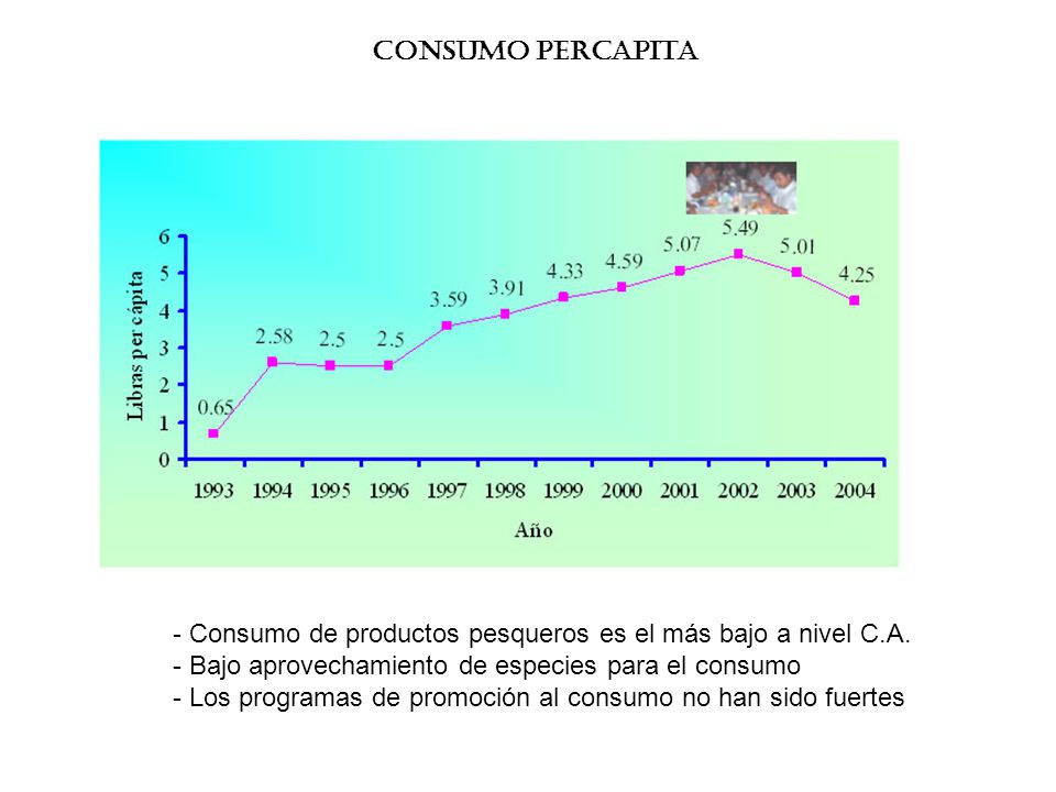 Consumo percapita Consumo de productos pesqueros es el más bajo a nivel C.A. Bajo aprovechamiento de especies para el consumo.