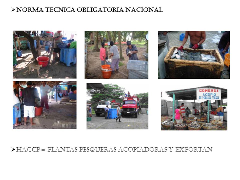 NORMA TECNICA OBLIGATORIA NACIONAL