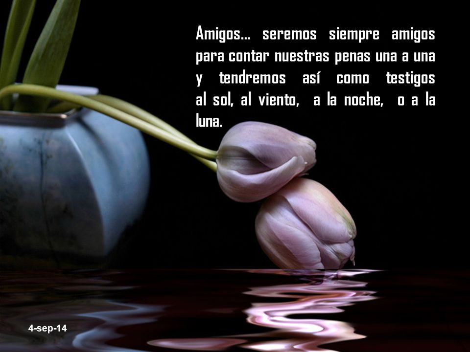Amigos… seremos siempre amigos para contar nuestras penas una a una y tendremos así como testigos al sol, al viento, a la noche, o a la luna.