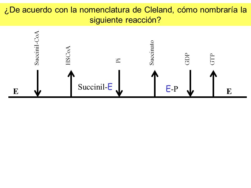 ¿De acuerdo con la nomenclatura de Cleland, cómo nombraría la siguiente reacción
