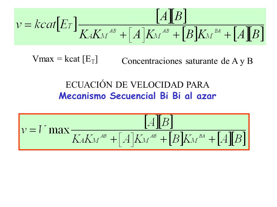 ECUACIÓN DE VELOCIDAD PARA Mecanismo Secuencial Bi Bi al azar