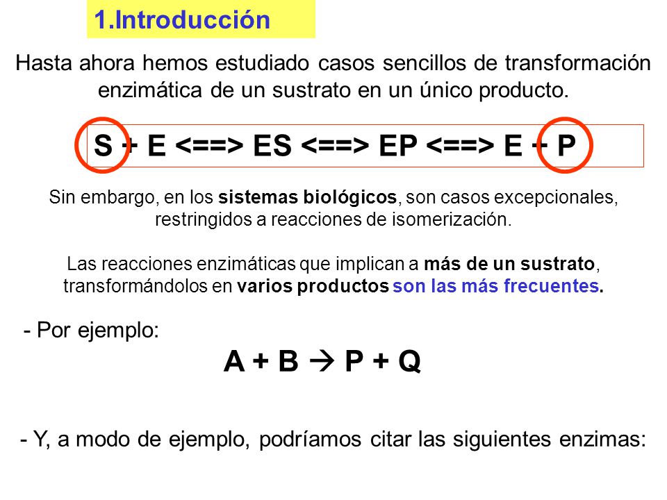- Y, a modo de ejemplo, podríamos citar las siguientes enzimas: