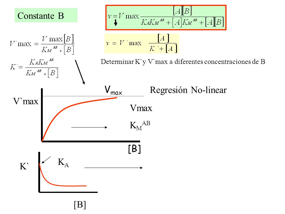 Constante B [B] Vmax Regresión No-linear V`max Vmax KMAB KA K` [B]