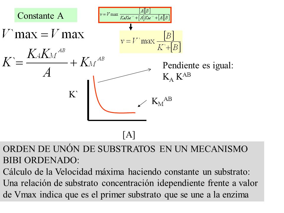 Constante A Pendiente es igual: KA KAB. K` KMAB. [A] ORDEN DE UNÓN DE SUBSTRATOS EN UN MECANISMO BIBI ORDENADO: