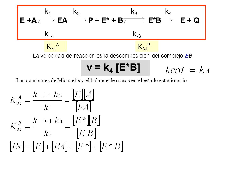 La velocidad de reacción es la descomposición del complejo EB