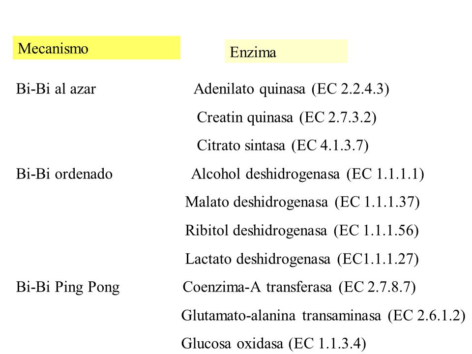 Mecanismo Enzima. Bi-Bi al azar Adenilato quinasa (EC ) Creatin quinasa (EC )