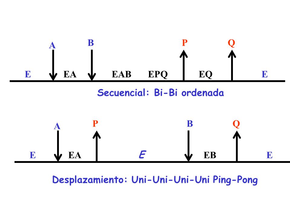E EA. EAB. A. B. EQ. P. Q. EPQ. Secuencial: Bi-Bi ordenada.