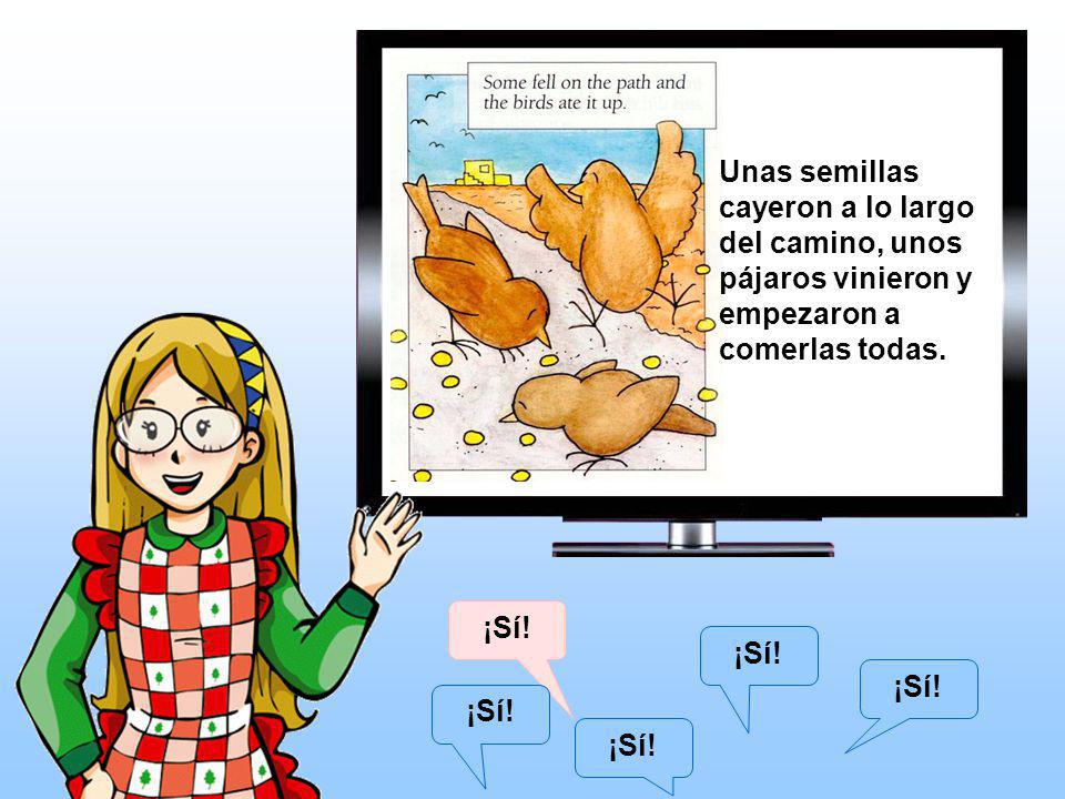 Unas semillas cayeron a lo largo del camino, unos pájaros vinieron y empezaron a comerlas todas.