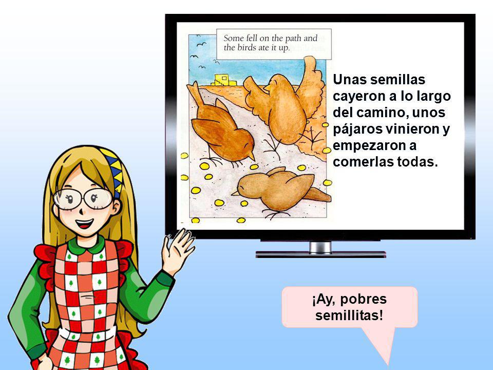 Unas semillas cayeron a lo largo del camino, unos pájaros vinieron y empezaron a comerlas todas.
