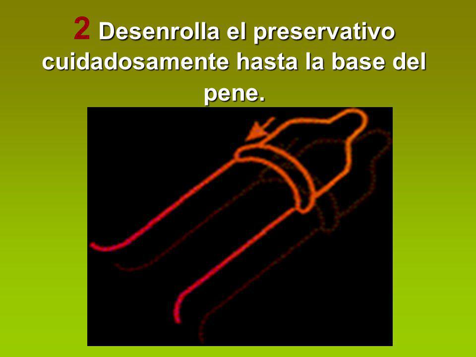 2 Desenrolla el preservativo cuidadosamente hasta la base del pene.