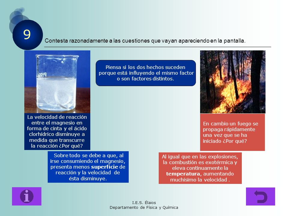 Contesta razonadamente a las cuestiones que vayan apareciendo en la pantalla.