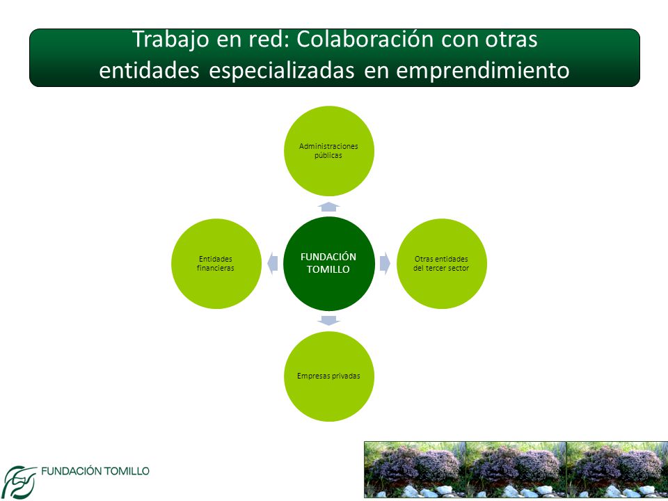 Trabajo en red: Colaboración con otras entidades especializadas en emprendimiento