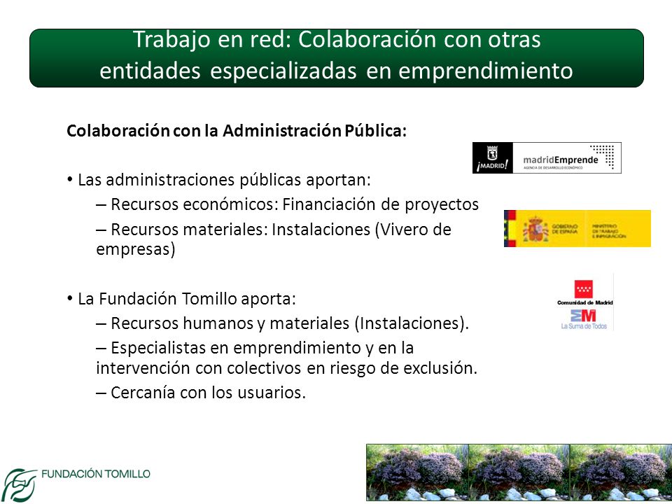 Trabajo en red: Colaboración con otras entidades especializadas en emprendimiento