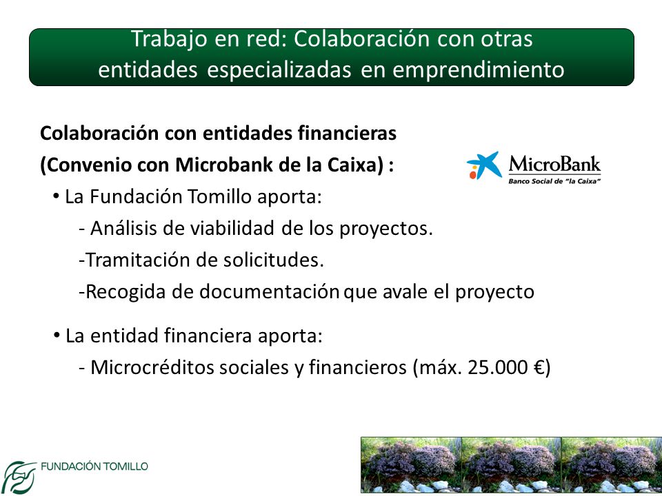 Trabajo en red: Colaboración con otras entidades especializadas en emprendimiento