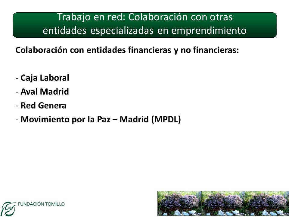 Trabajo en red: Colaboración con otras entidades especializadas en emprendimiento
