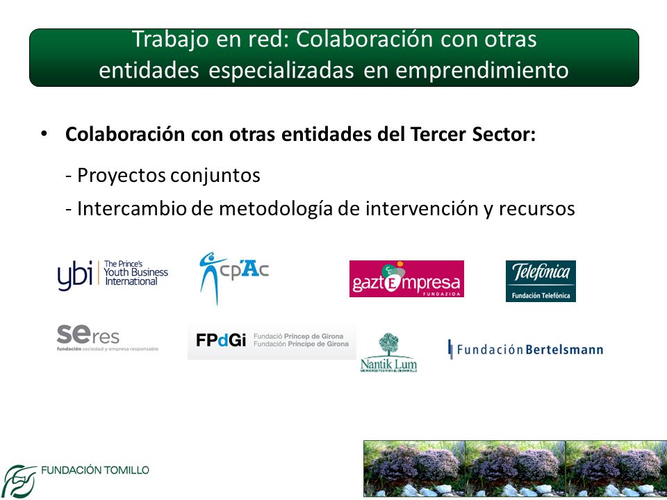 Trabajo en red: Colaboración con otras entidades especializadas en emprendimiento