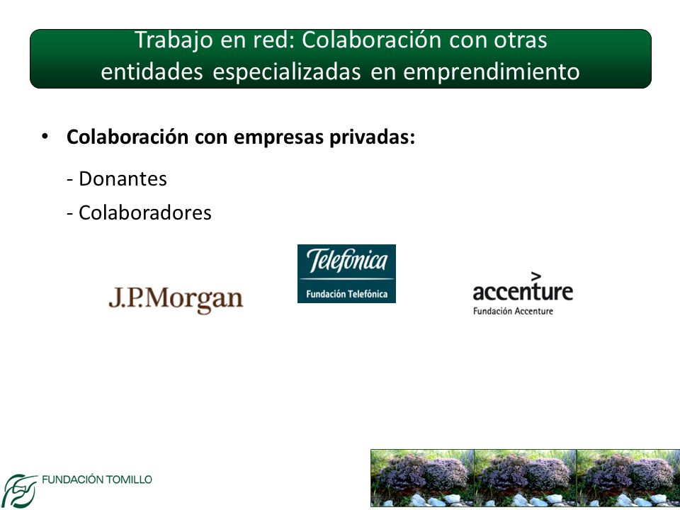 Trabajo en red: Colaboración con otras entidades especializadas en emprendimiento