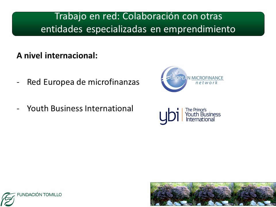 Trabajo en red: Colaboración con otras entidades especializadas en emprendimiento