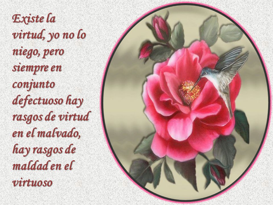 Existe la virtud, yo no lo niego, pero siempre en conjunto defectuoso hay rasgos de virtud en el malvado, hay rasgos de maldad en el virtuoso